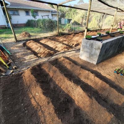 Pre Planting 1