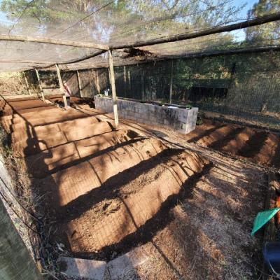 Pre Planting 3