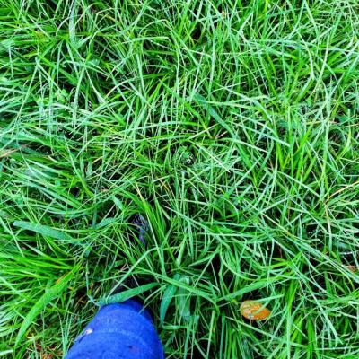 Photo 2023 03 07 11 08 14